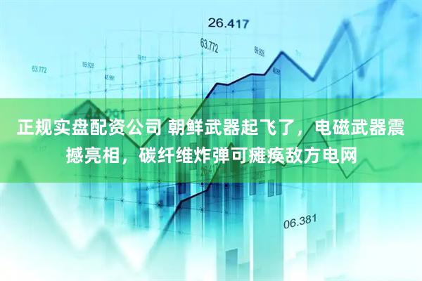 正规实盘配资公司 朝鲜武器起飞了，电磁武器震撼亮相，碳纤维炸弹可瘫痪敌方电网