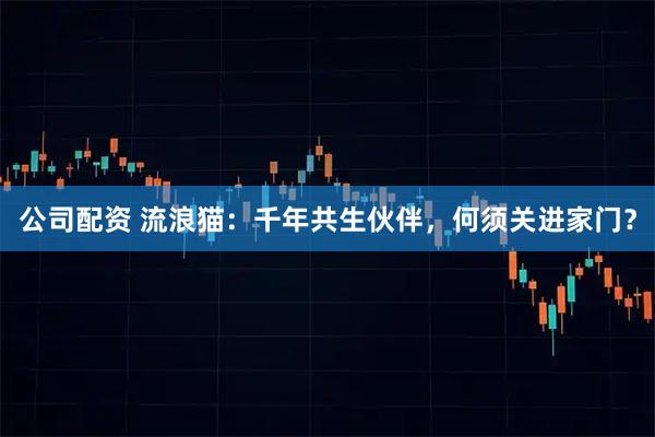 公司配资 流浪猫：千年共生伙伴，何须关进家门？