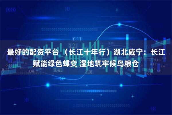 最好的配资平台 （长江十年行）湖北咸宁：长江赋能绿色蝶变 湿地筑牢候鸟粮仓