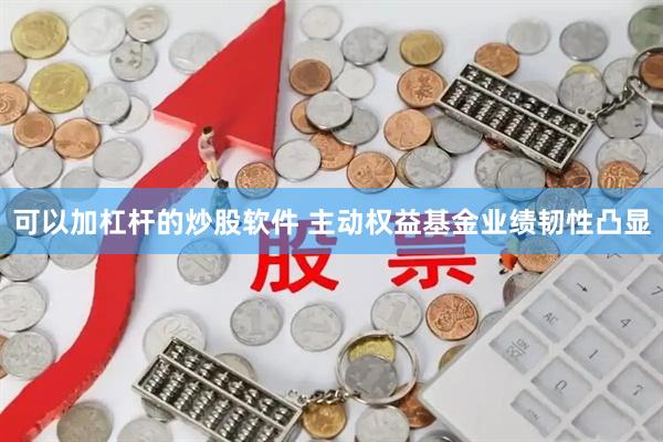 可以加杠杆的炒股软件 主动权益基金业绩韧性凸显